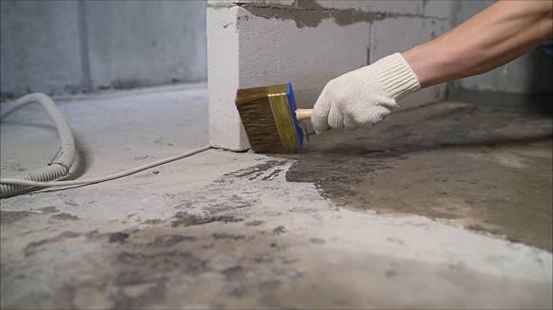 24/7 Emergency Waterproofing experts in Kingsport, TN